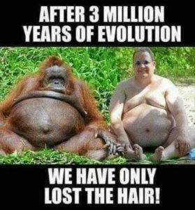 Stupid Bar Memes 48d1def8cb261550