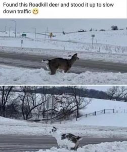 Stupid Bar Memes 4c138a1b94dde229