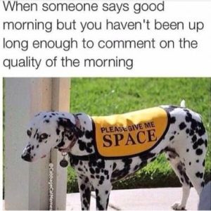 Stupid Bar Memes 50bf32d080af30cc