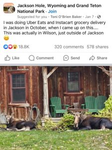 Stupid Bar Memes 5408ffcd14932d91