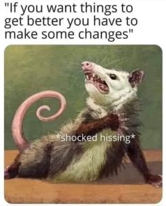 Stupid Bar Memes 555ffea24fe91e57