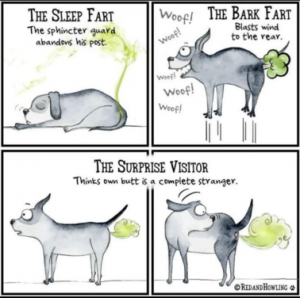 Stupid Bar Memes 58966aaf3be5b1ec