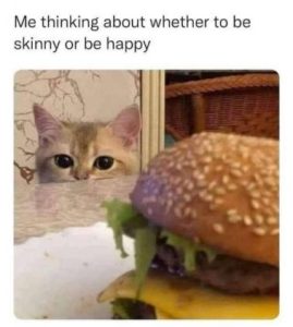 Stupid Bar Memes 58cb553bec7091a2