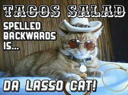 Stupid Bar Memes 5d54898f79d674bd
