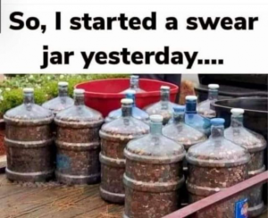 Stupid Bar Memes 60eed0f1bb775b52