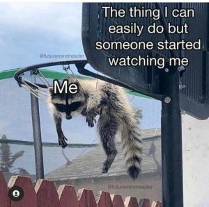 Stupid Bar Memes 61d4c2014673b1a3