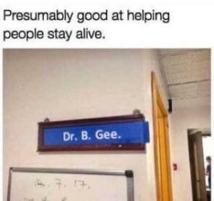 Stupid Bar Memes 64ce99e4b27f5430