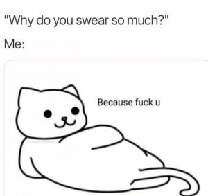 Stupid Bar Memes 6543654ae1775a45