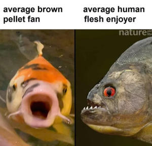 Stupid Bar Memes 65a143a4af22b