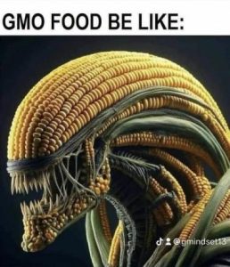 Stupid Bar Memes 66641c9a21ebc230
