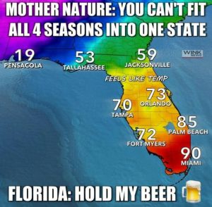 Stupid Bar Memes 69d629a5891b5a22