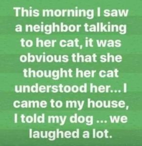 Stupid Bar Memes 6cd70137972315f1