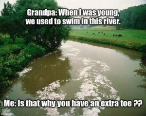 Stupid Bar Memes 6e96d85e91c6c9a6