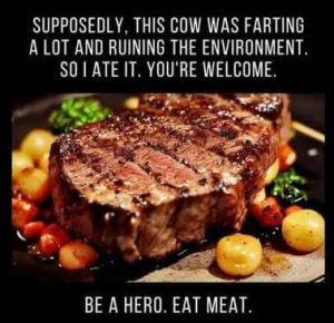 Stupid Bar Memes 7013605044060c24