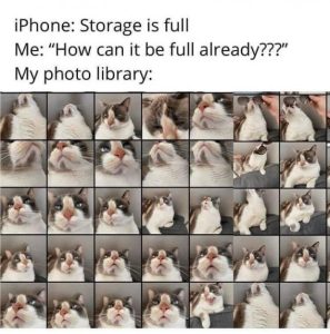 Stupid Bar Memes 711fdd34d7a3877d