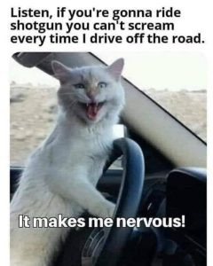 Stupid Bar Memes 7526fa848b9743f6