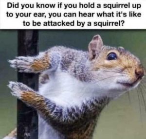 Stupid Bar Memes 77880aee38b2e760