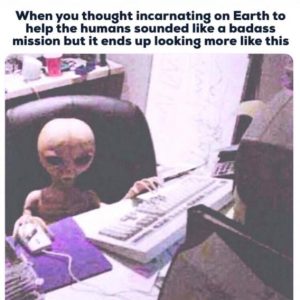 Stupid Bar Memes 79cb9f47d6c740eb