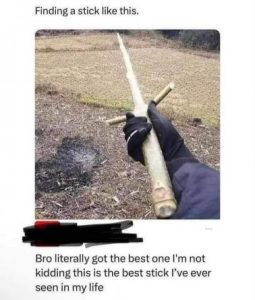 Stupid Bar Memes 79fb8a81de0a1a9e