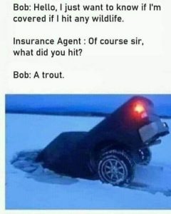 Stupid Bar Memes 7cb237d9479be275