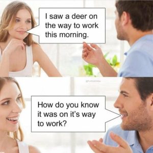 Stupid Bar Memes 7e57d03a294cac69