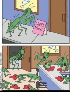 Stupid Bar Memes 7f7a5ee4822a77ed