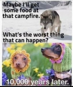 Stupid Bar Memes 8abb358b3dbb70e0