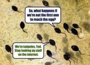 Stupid Bar Memes 8ce0e8b4127fd8f2