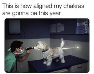 Stupid Bar Memes 8e1389287509cd6c