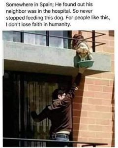 Stupid Bar Memes 8f6e243a4cb7cd9b