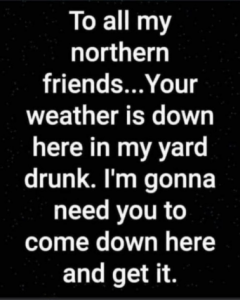 Stupid Bar Memes 94dbcb4b7a97091f