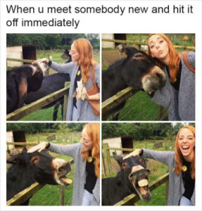 Stupid Bar Memes 970715c3509d0d34