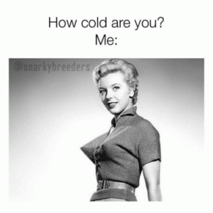 Stupid Bar Memes 9b0329737feab4dd