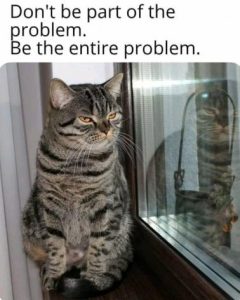 Stupid Bar Memes 9ceef4d8ec528e6f