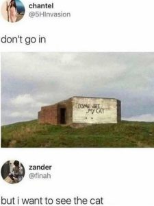 Stupid Bar Memes 9fd205aa414fec22