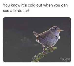 Stupid Bar Memes CwpBoTg