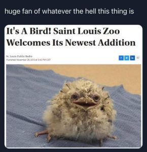 Stupid Bar Memes D7pZmfb