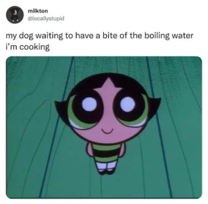 Stupid Bar Memes U1L4EWV