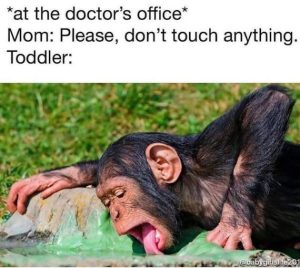 Stupid Bar Memes WMAs01s07s23s1s10