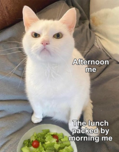 Stupid Bar Memes a1900188ab025b33