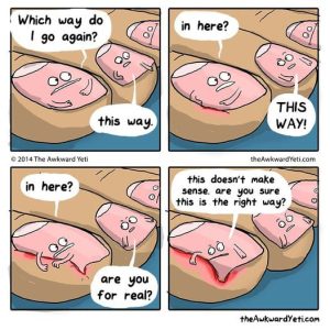 Stupid Bar Memes a1P91N6s700b