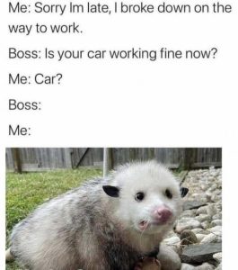 Stupid Bar Memes a22d58a6e8208312