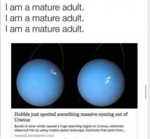 Stupid Bar Memes a79de2150cb75259