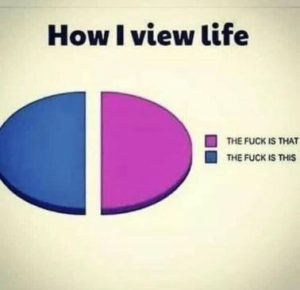 Stupid Bar Memes a959c75250368843