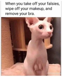 Stupid Bar Memes aA0886gs700b