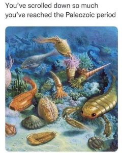 Stupid Bar Memes aBdpV3zs700b