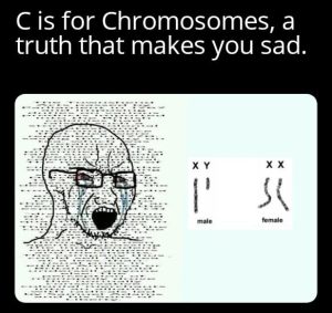 Stupid Bar Memes aMEgKRMs700b