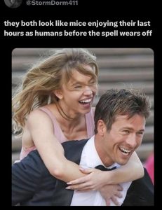 Stupid Bar Memes aQELwXKs700b