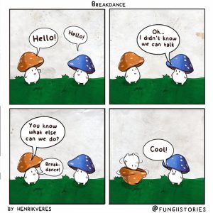 Stupid Bar Memes aXnBwr2s700b