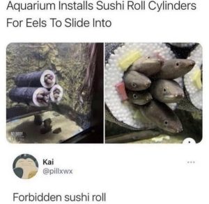 Stupid Bar Memes aYV3XYms700b